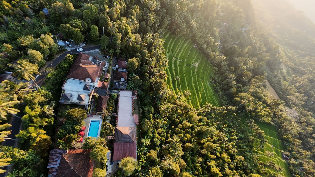Photo of Outdoor in Munduk