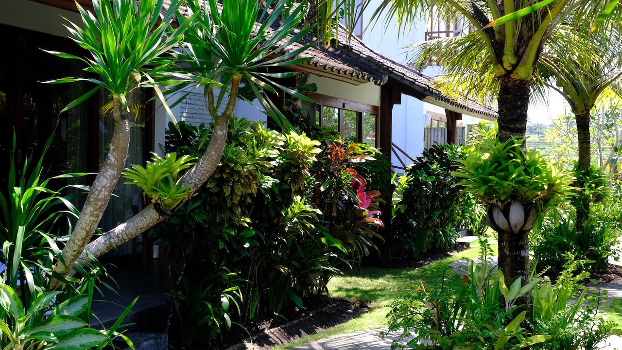 Photo of Outdoor in Mendoyo