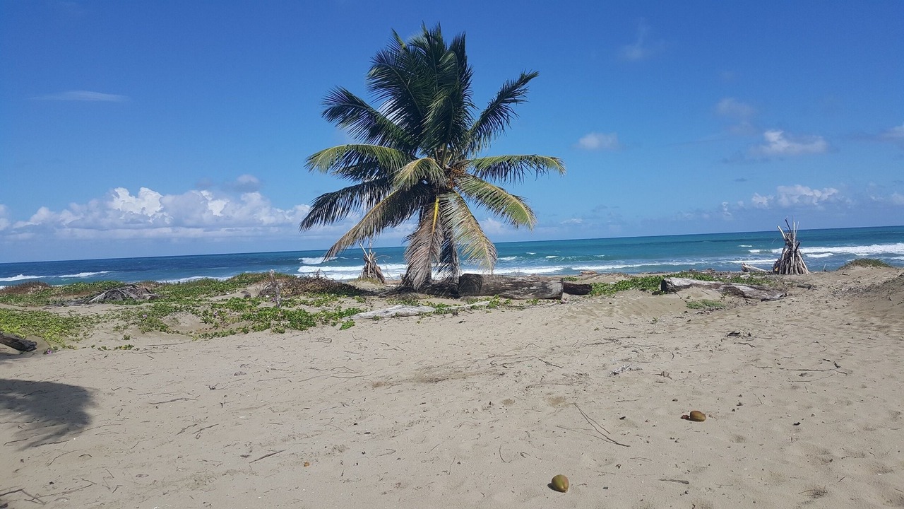 Photo of Others in Cabarete