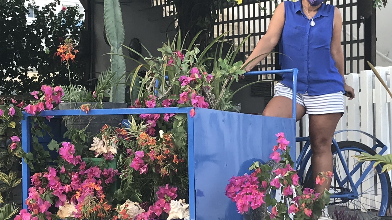 Photo of Outdoor in Los Melones