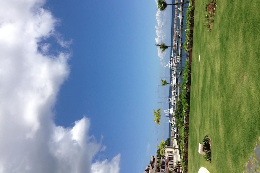 Photo of Others in Puerto Bahia