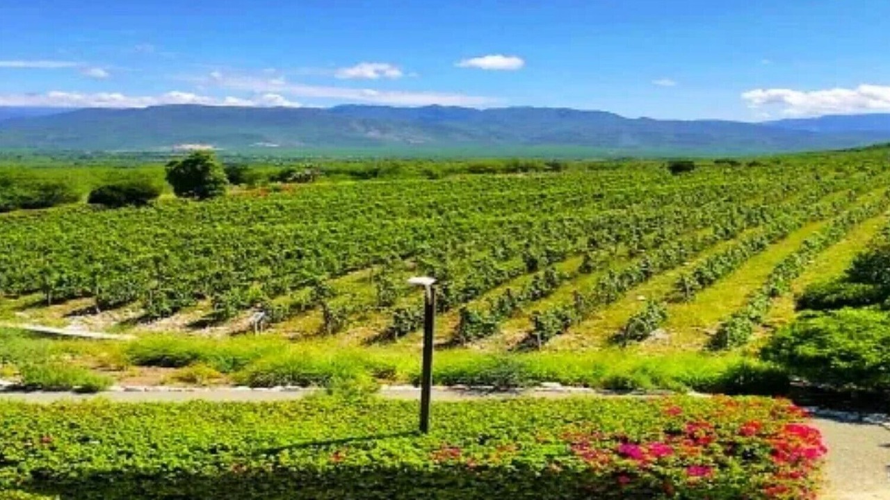 Photo of Outdoor in Bocacanasta