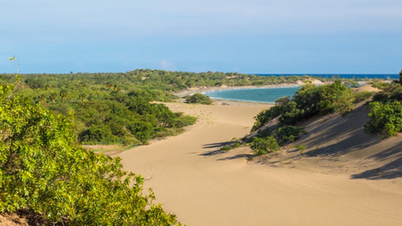 Photo of Outdoor in Bocacanasta