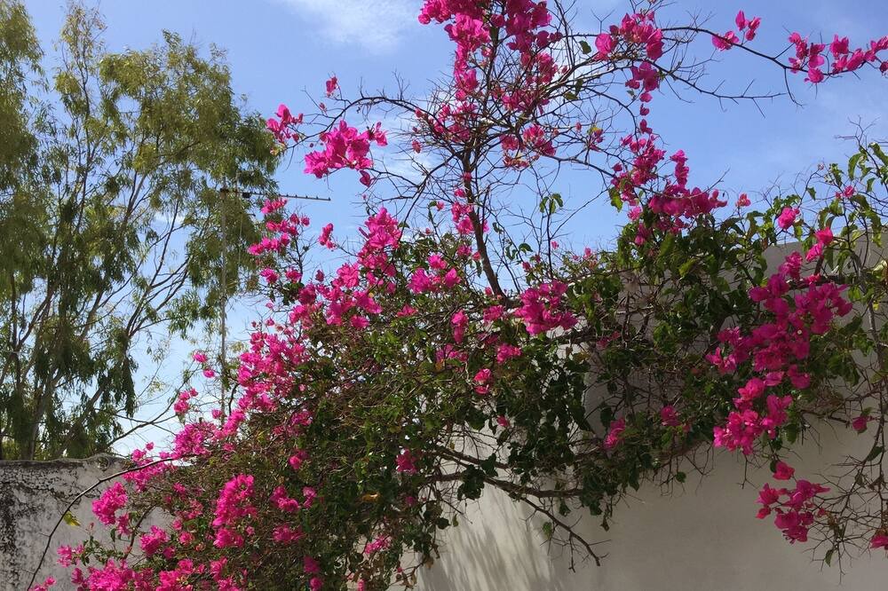 Photo of Outdoor in Glinado