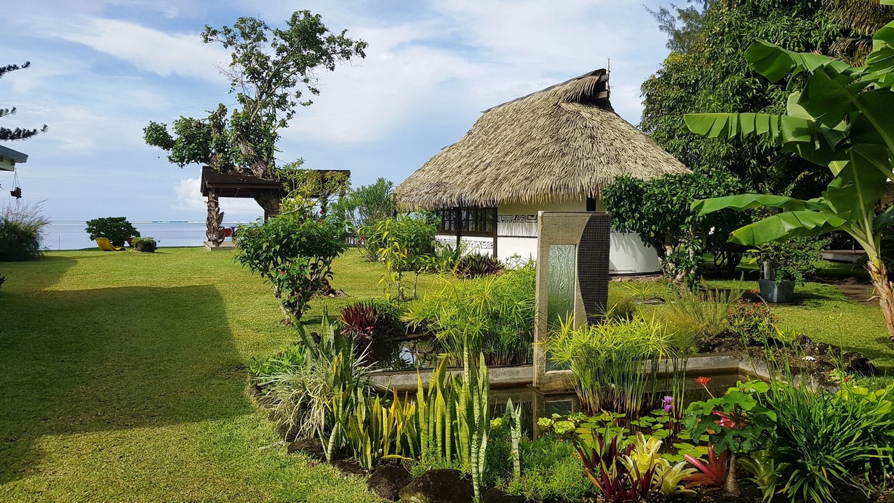 Photo of Outdoor in Moorea-Maiao
