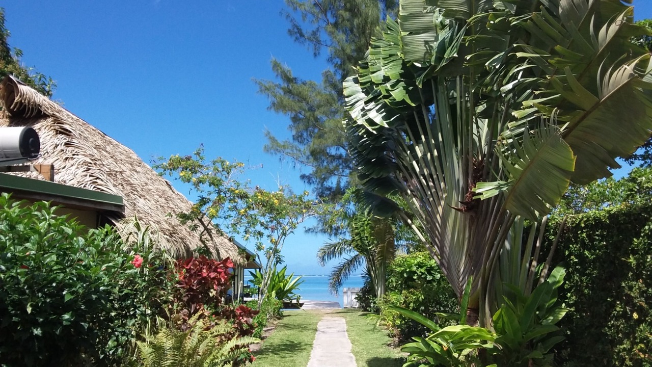 Photo of Others in Moorea-Maiao