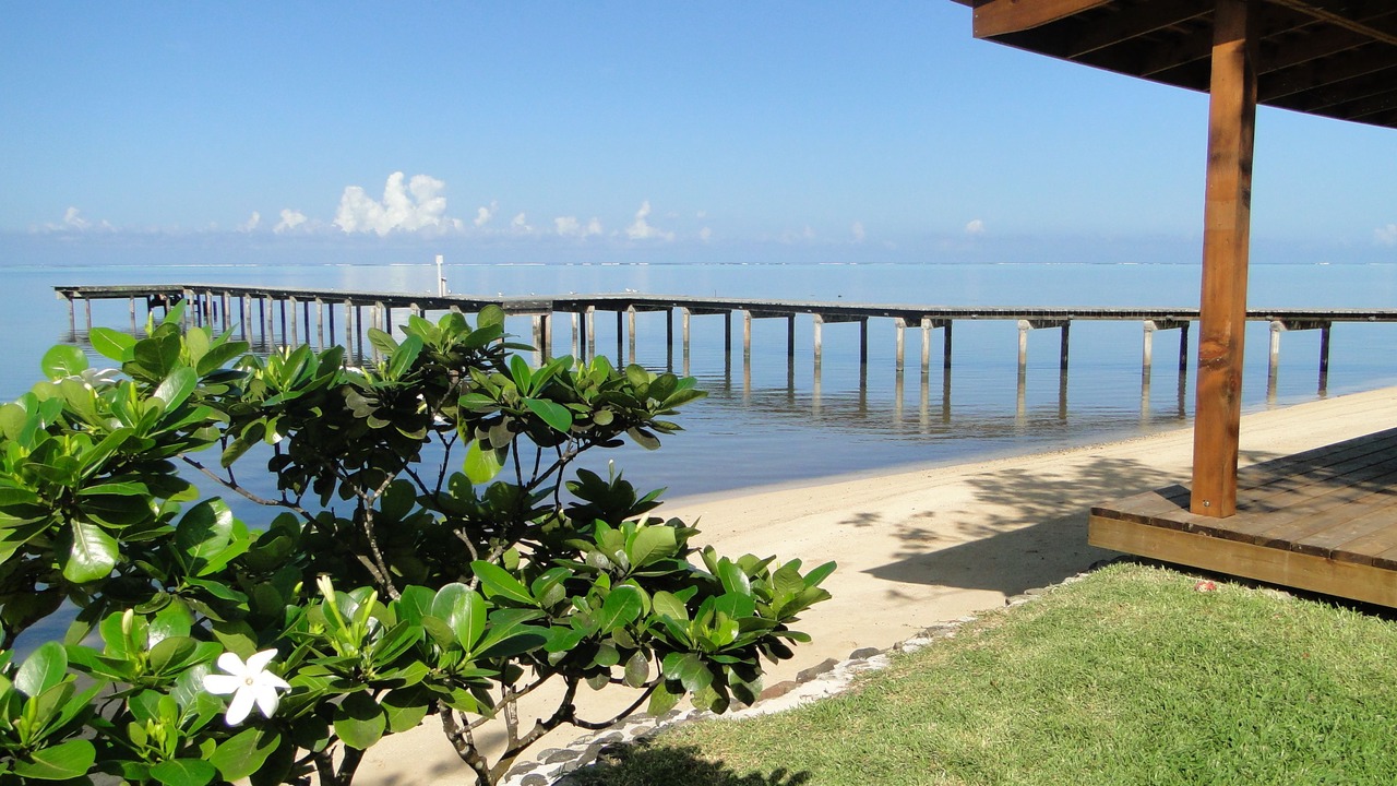 Photo of Others in Moorea-Maiao