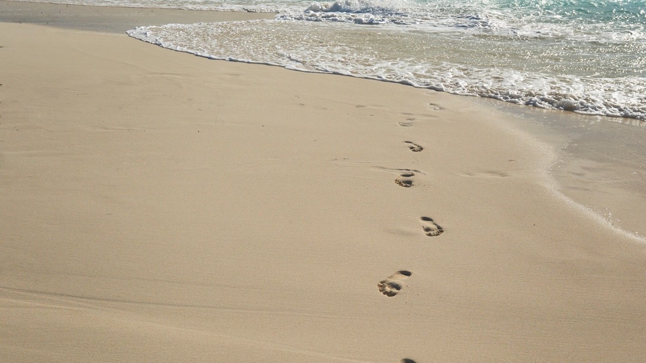 Photo of Others in Mana Island