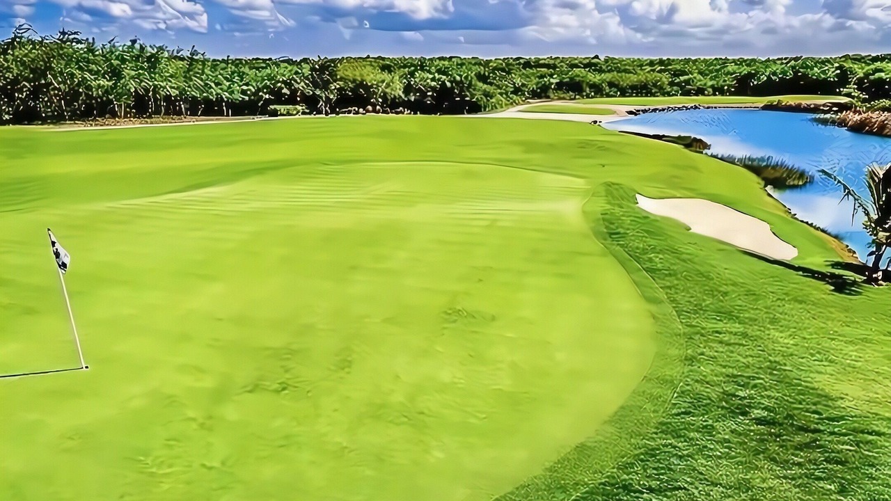 Photo of Outdoor in Bavaro
