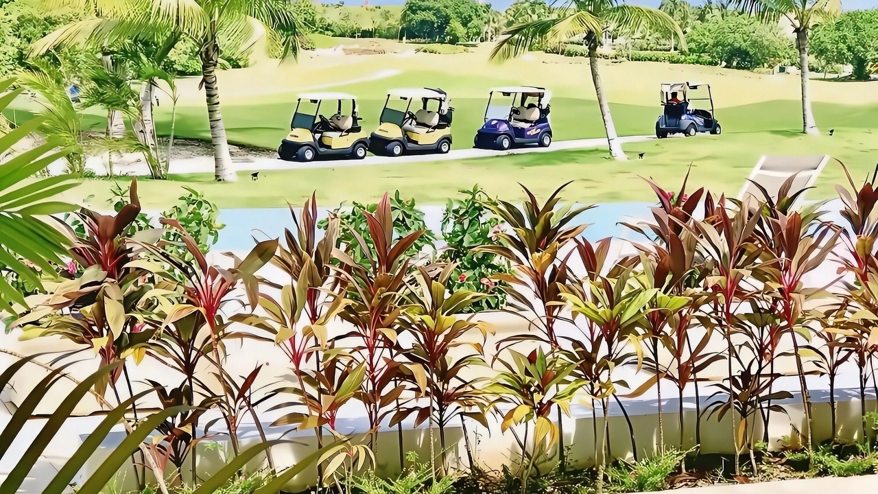 Photo of Others in Bavaro