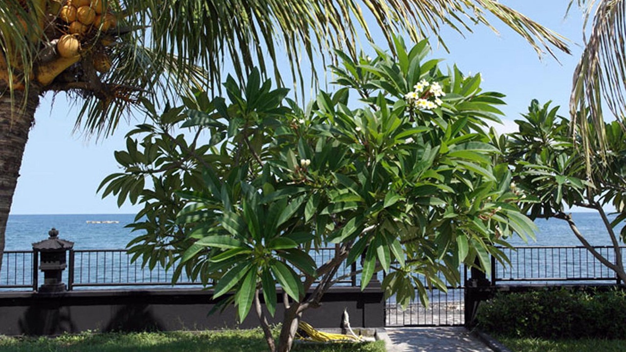 Photo of Outdoor in Kalisada