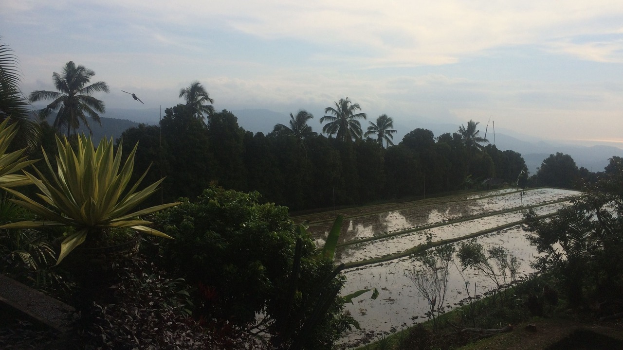 Photo of Others in Munduk