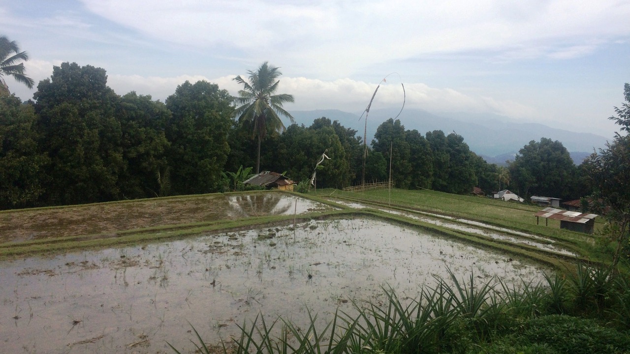 Photo of Others in Munduk