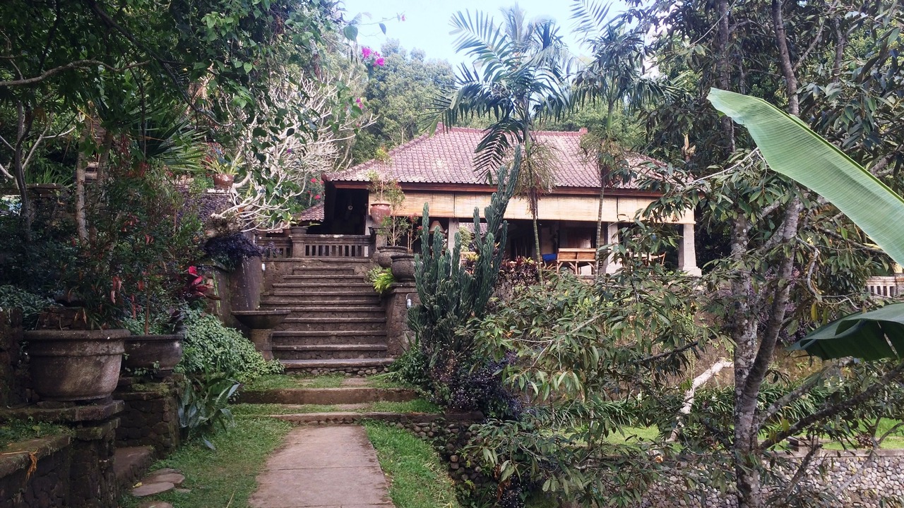 Photo of Outdoor in Munduk