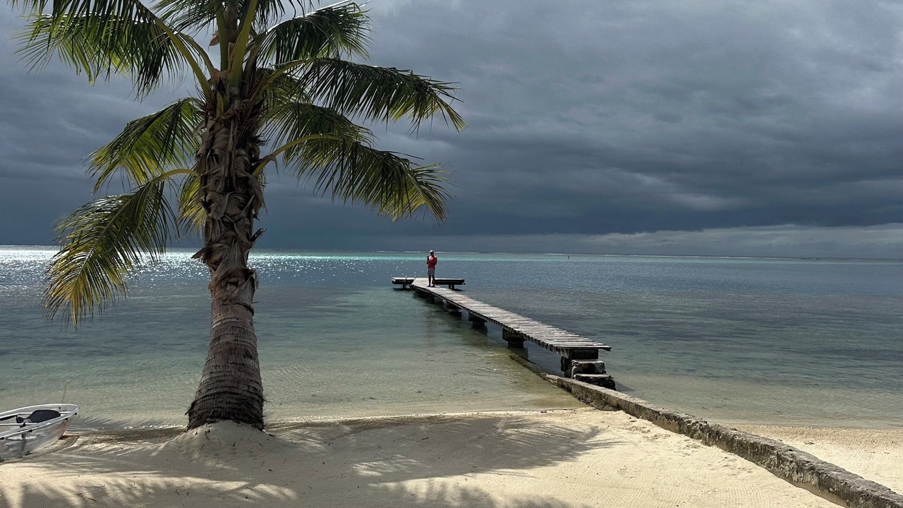 Photo of Others in Cook's Bay