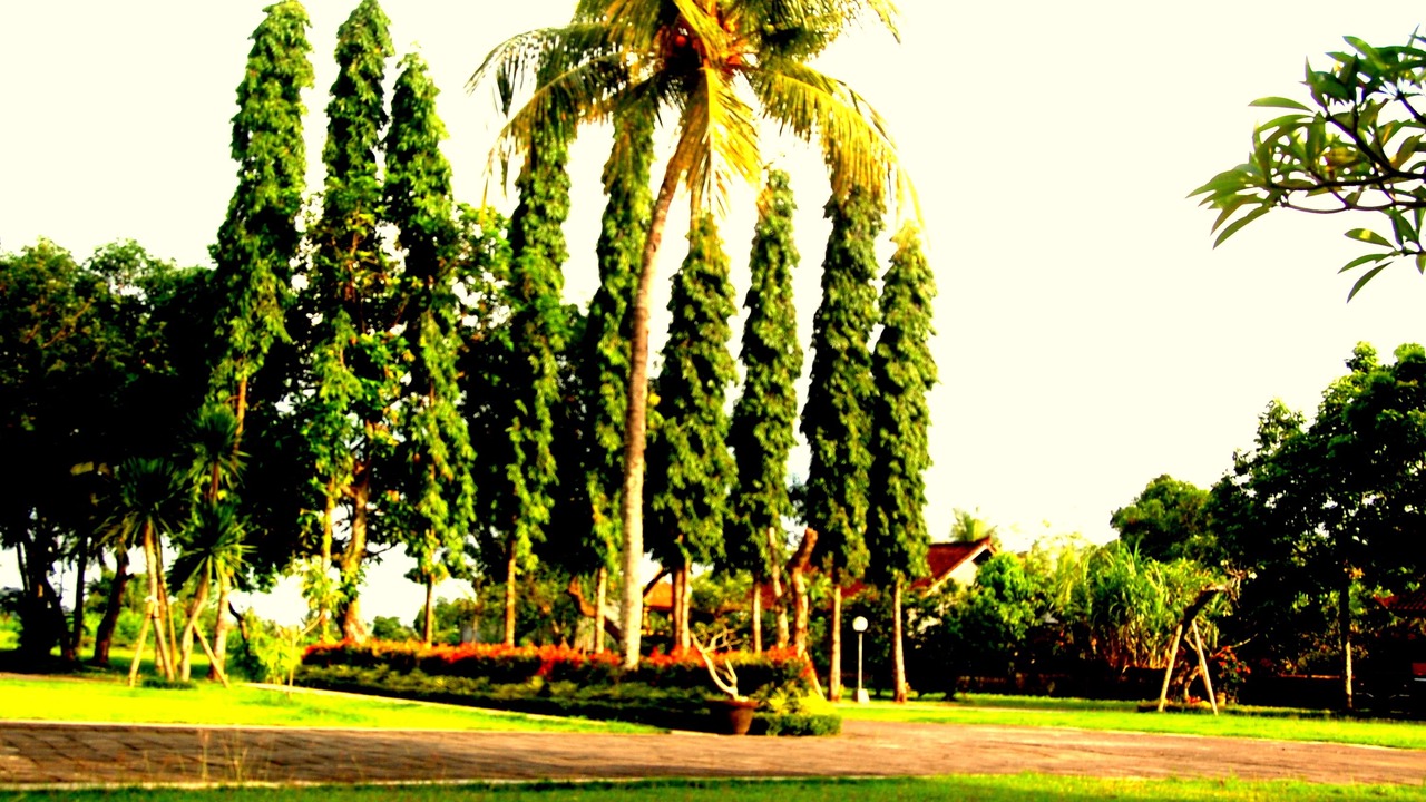 Photo of Outdoor in Mengwi
