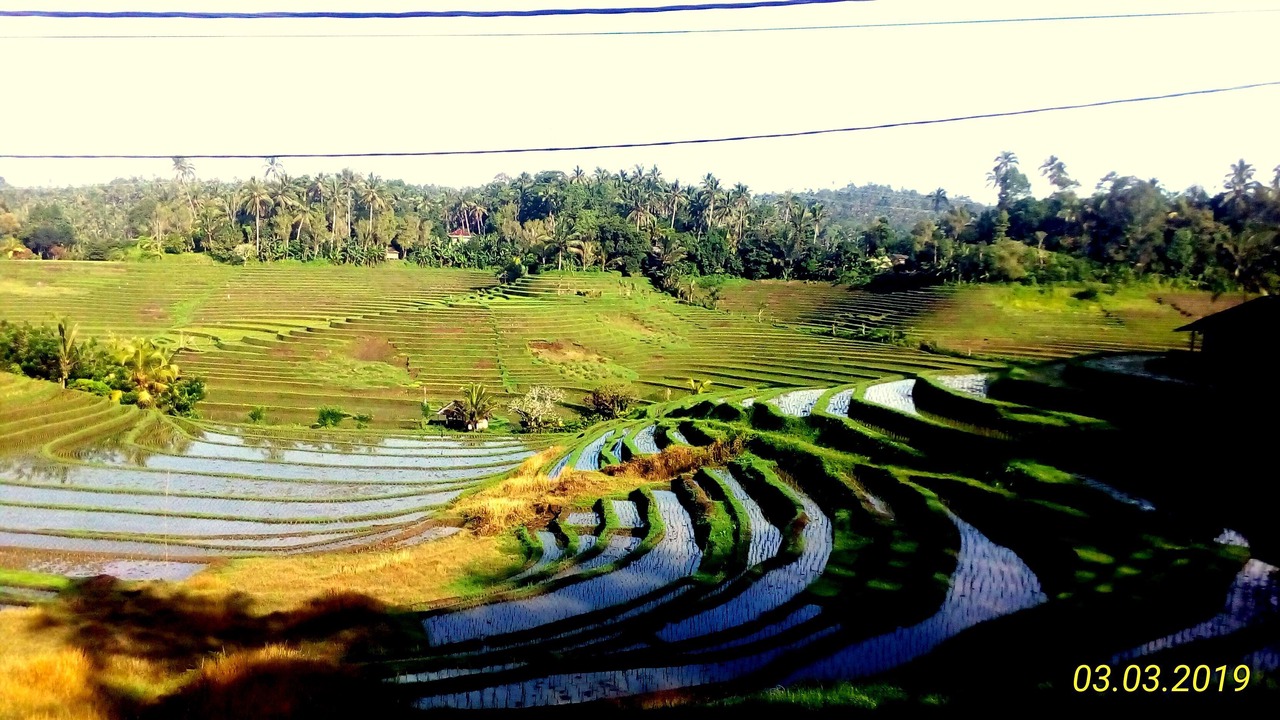 Photo of Outdoor in Mengwi