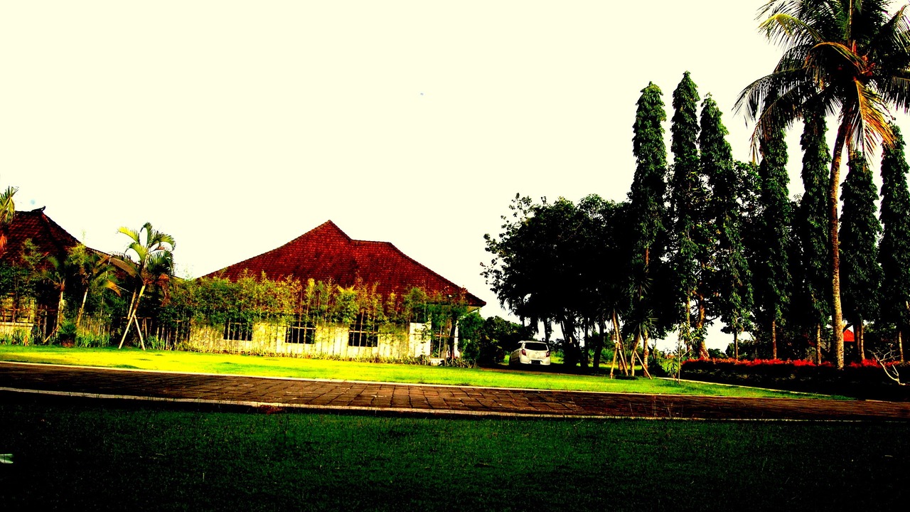 Photo of Outdoor in Mengwi