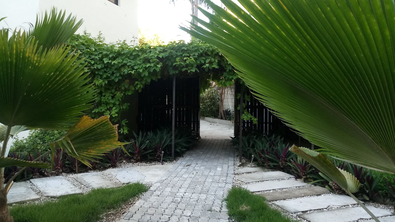 Photo of Outdoor in El Cortecito