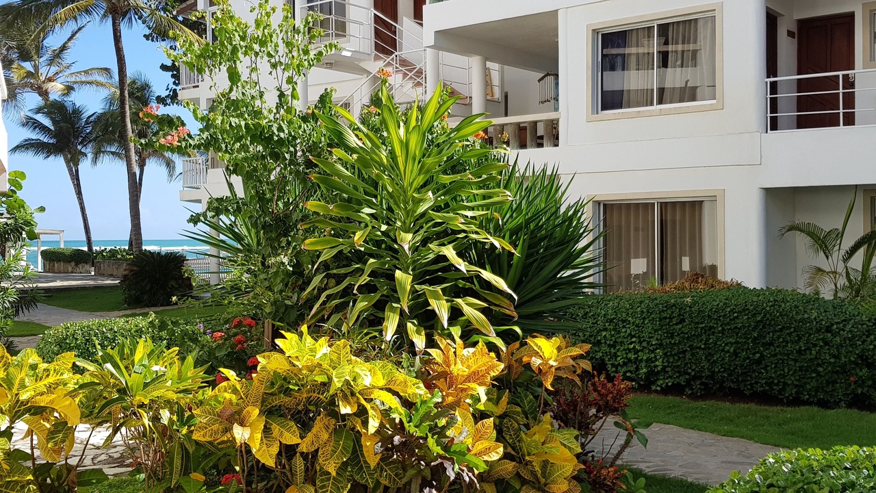 Photo of Outdoor in Cabarete