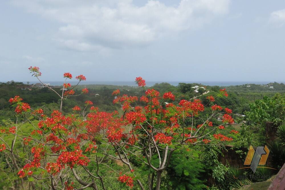 Photo of Outdoor in La Ceiba