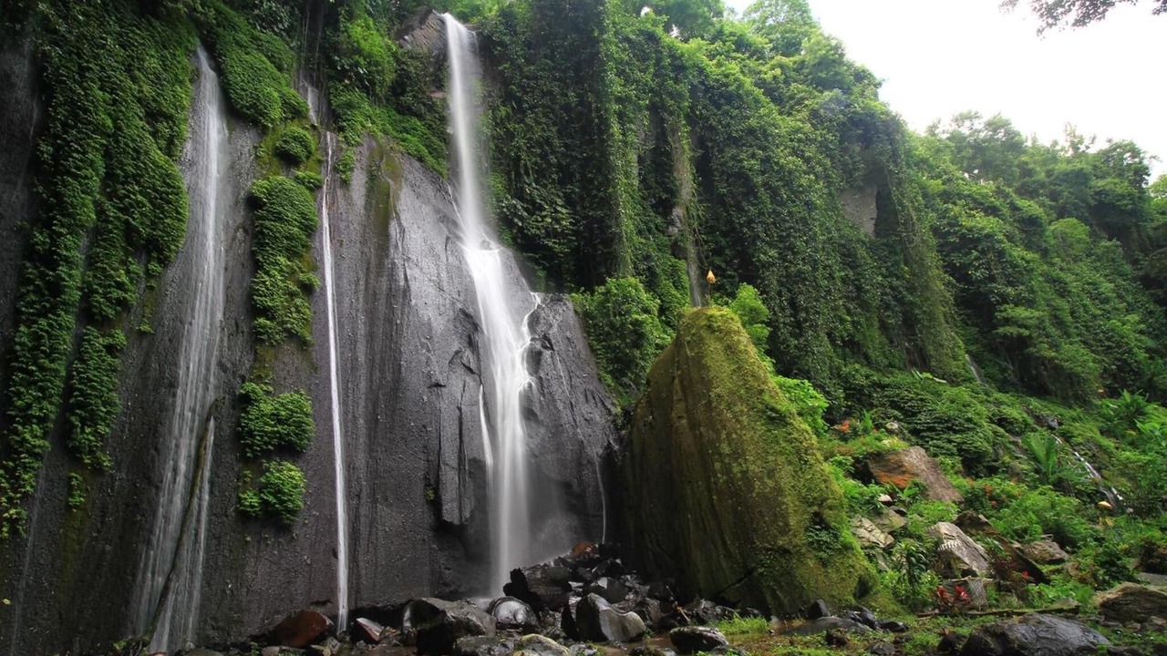 Photo of Outdoor in Lovina