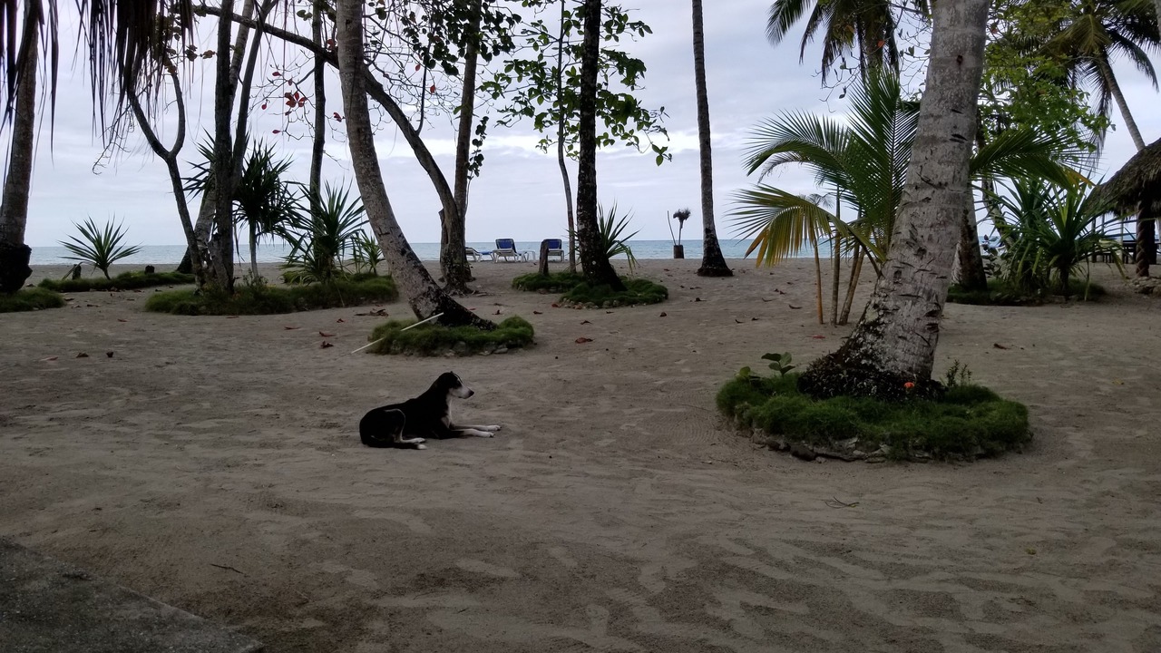 Photo of Others in Magante