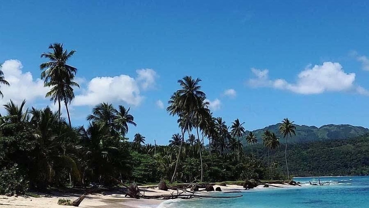 Photo of Others in Las Galeras