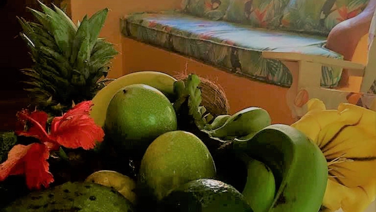 Photo of Others in Las Galeras
