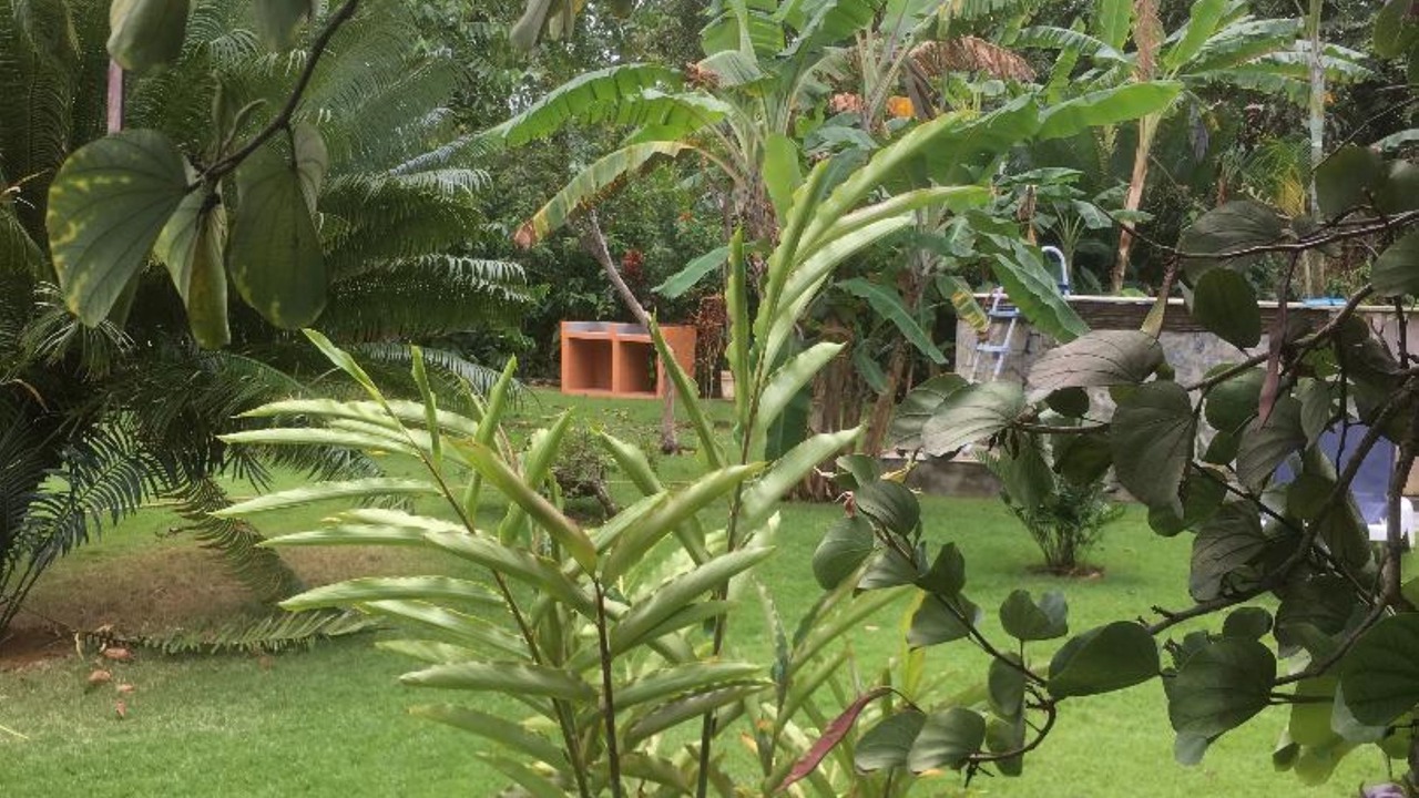 Photo of Others in Las Galeras