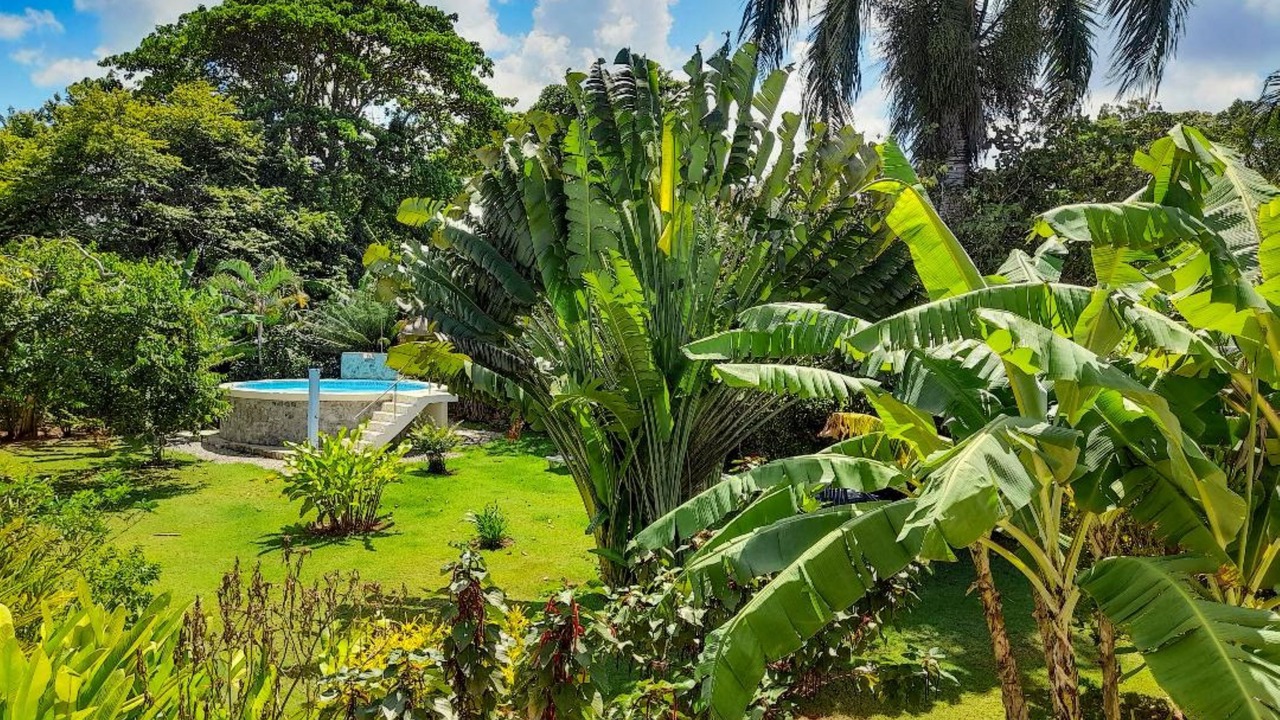 Photo of Outdoor in Las Galeras