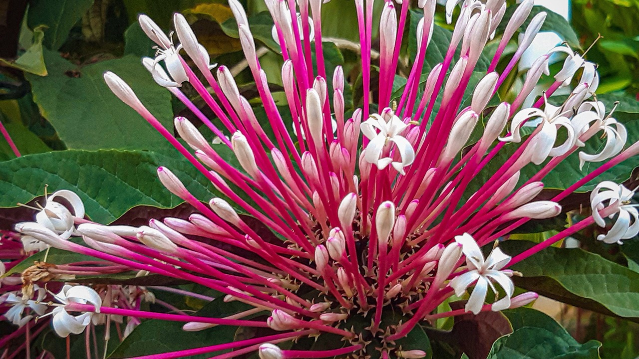 Photo of Outdoor in Las Galeras