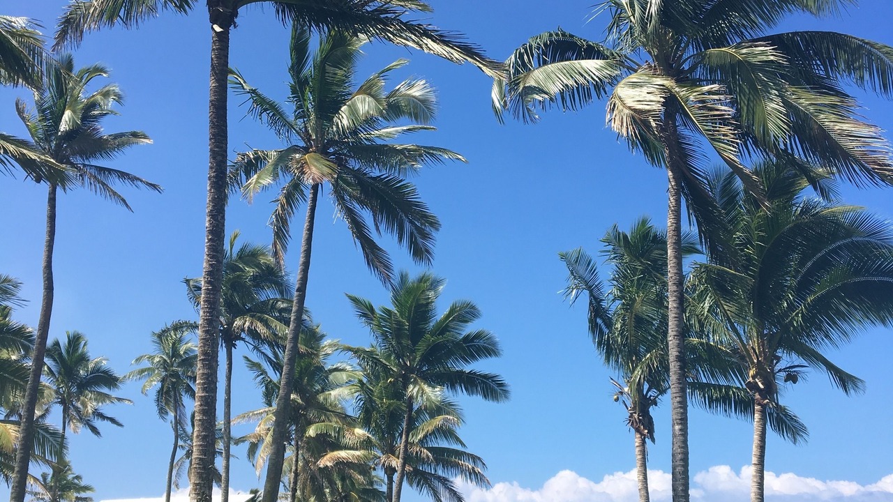 Photo of Outdoor in Pacific Harbour
