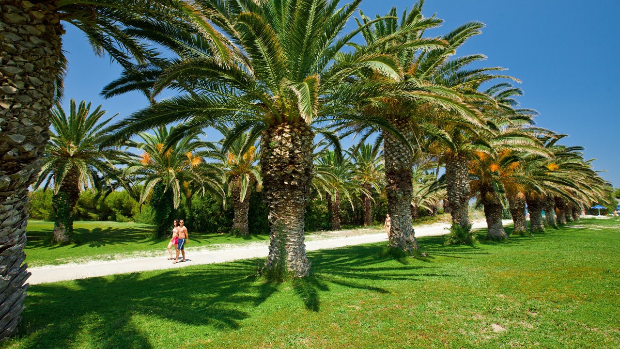 Photo of Outdoor in Marmari