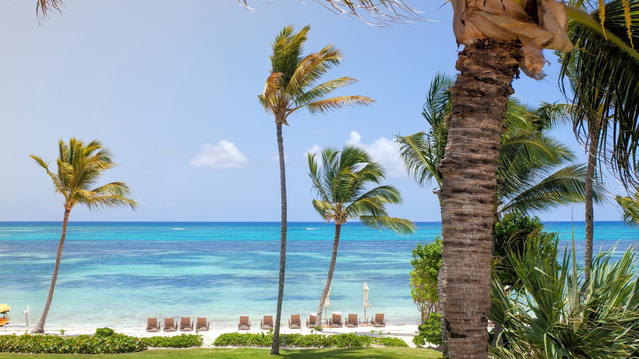 Photo of Others in Punta Cana