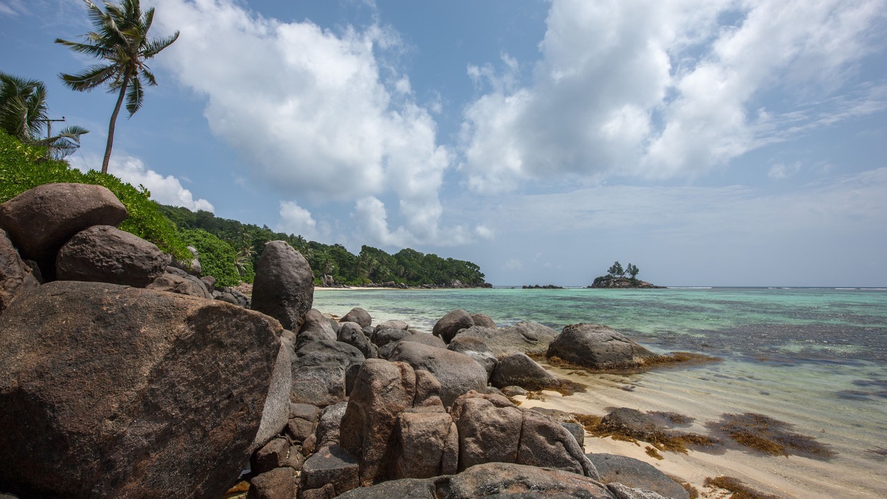 Photo of Others in Anse Royale
