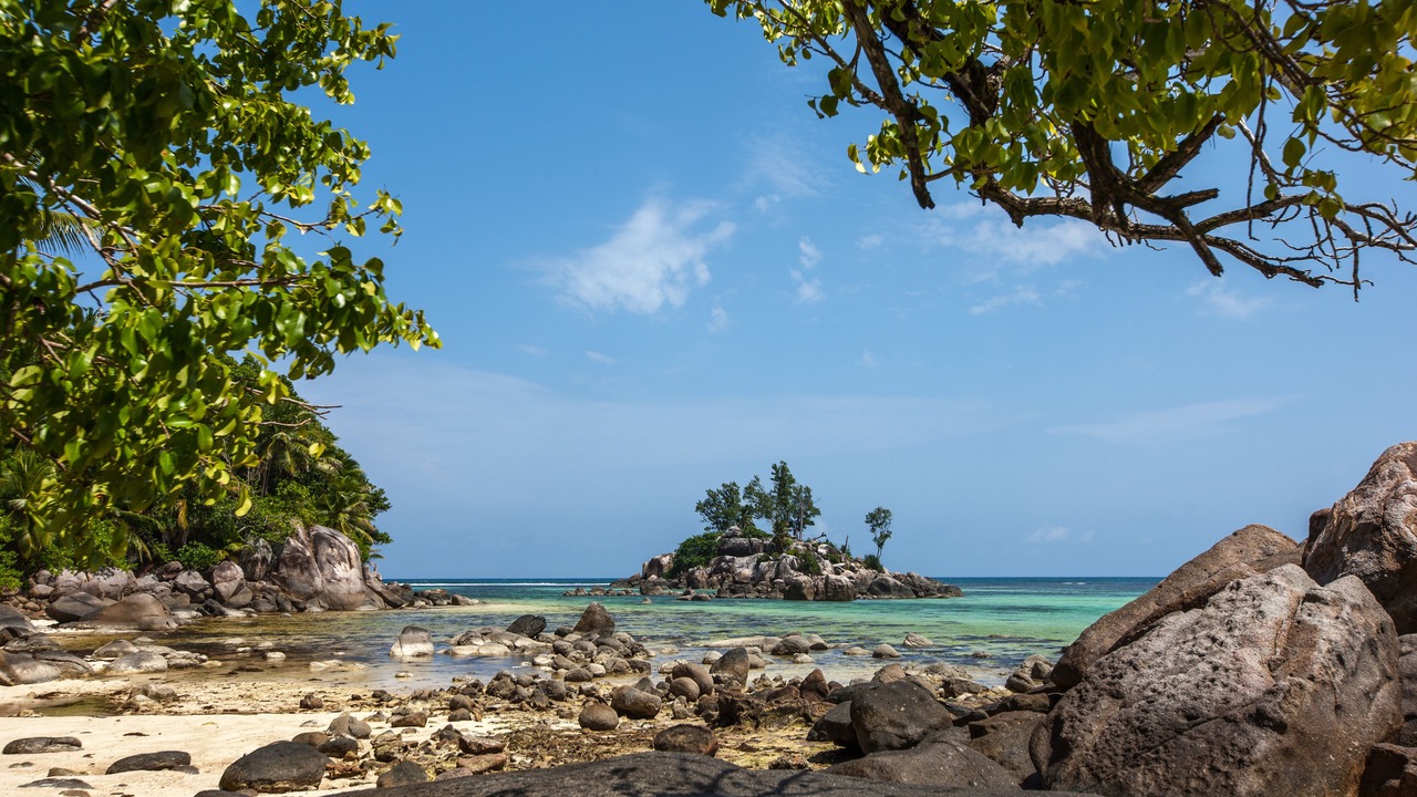 Photo of Others in Anse Royale
