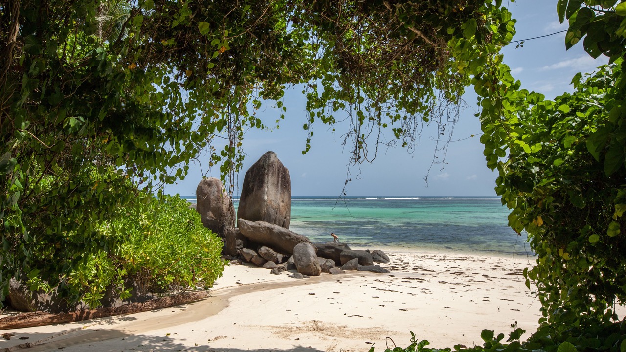 Photo of Others in Anse Royale