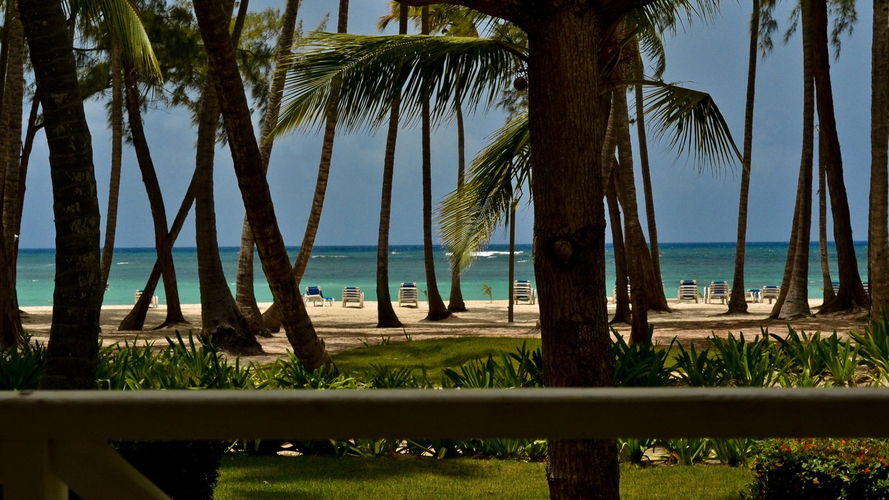 Photo of Outdoor in El Cortecito