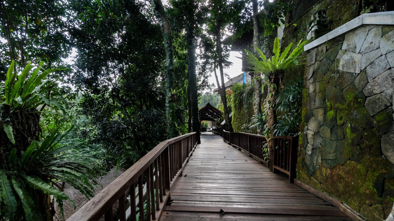 Photo of Outdoor in Petulu