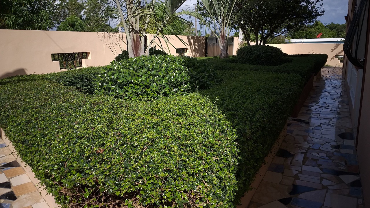 Photo of Outdoor in Barrio El Hospital
