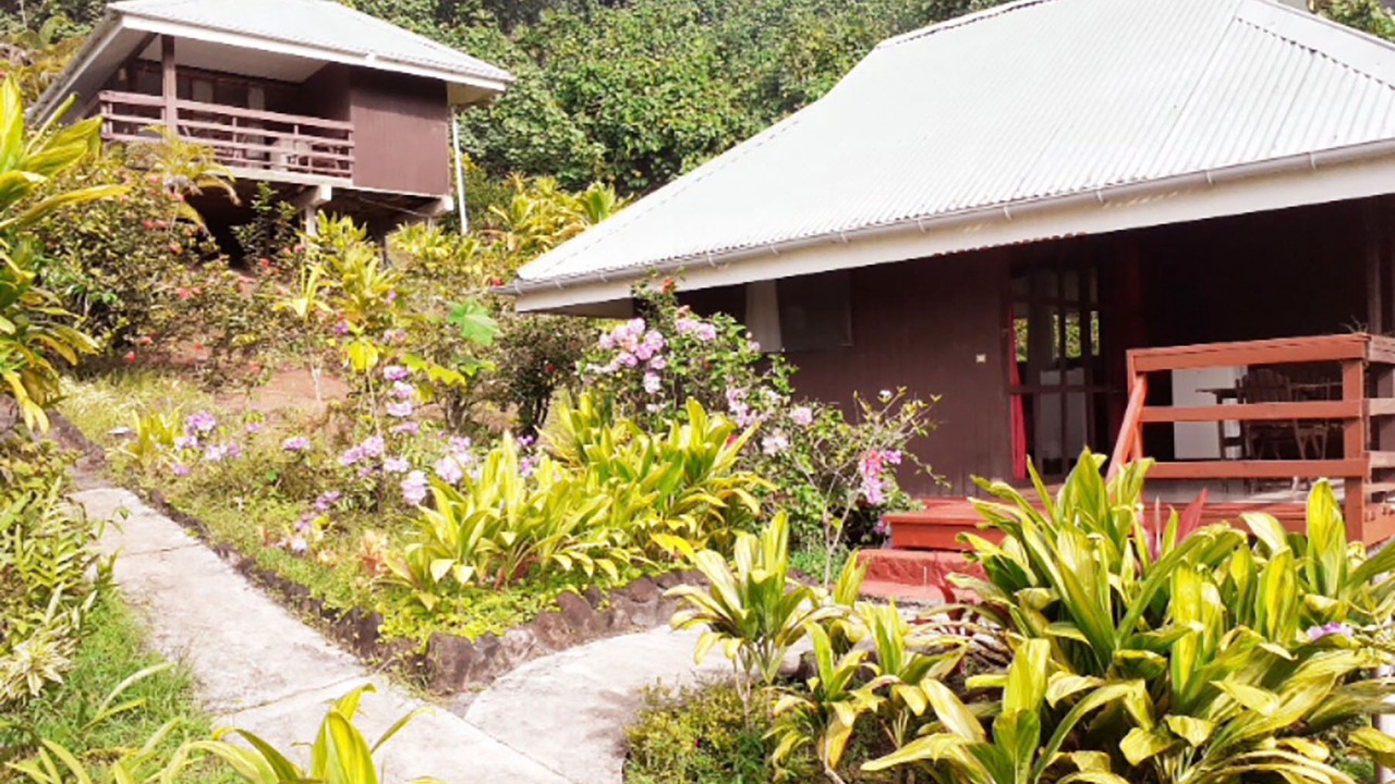 Photo of Outdoor in Teahupoo