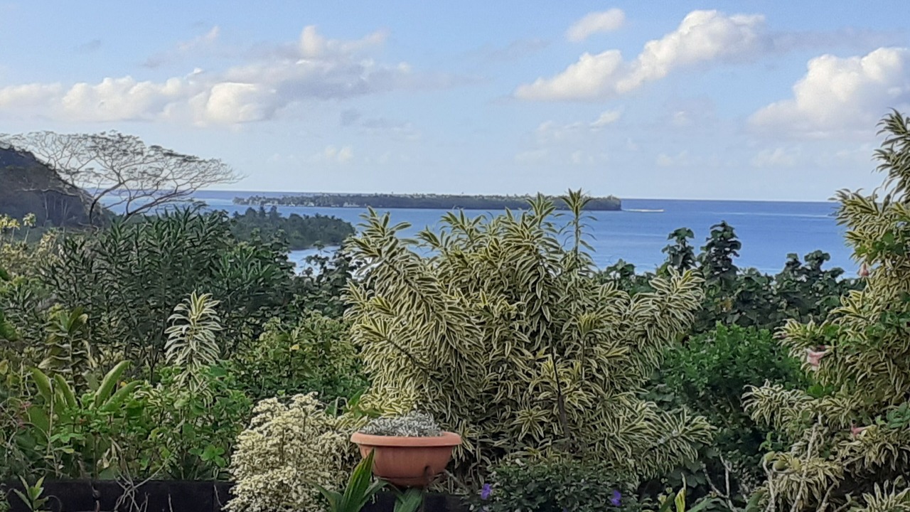 Photo of Outdoor in Teahupoo
