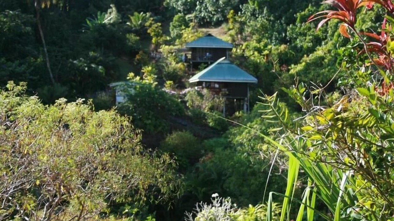 Photo of Outdoor in Teahupoo
