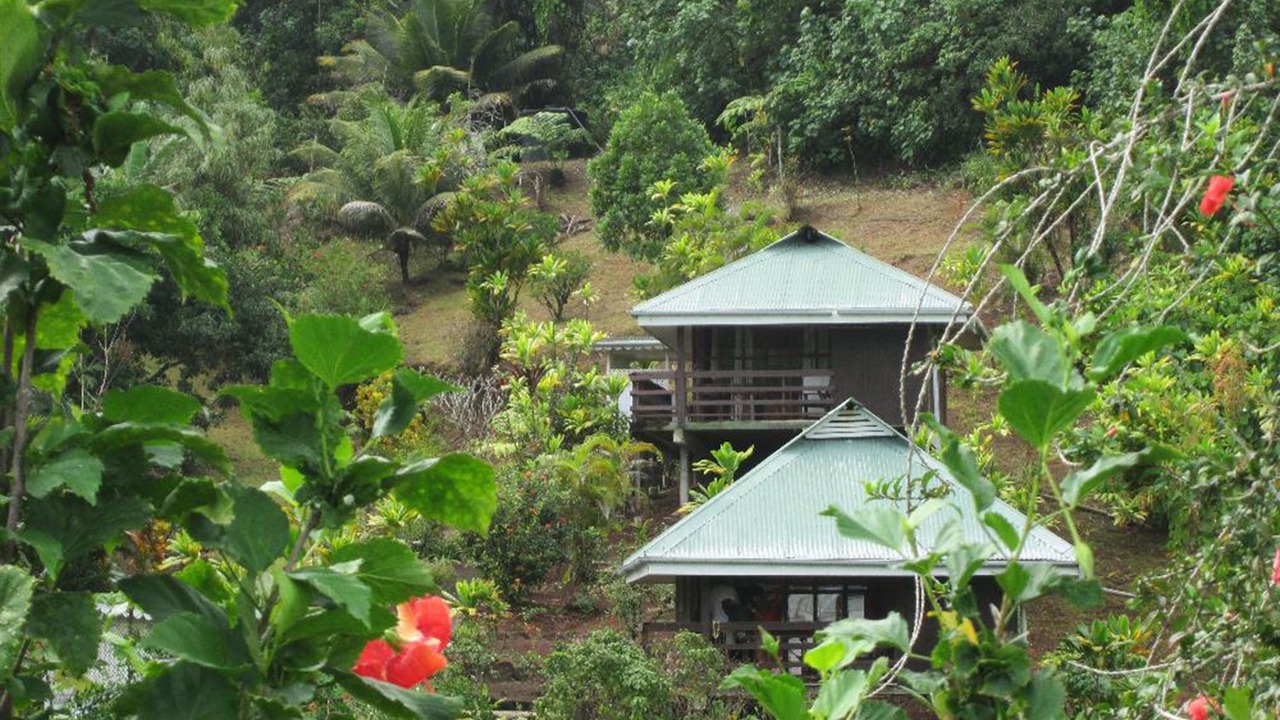 Photo of Outdoor in Teahupoo