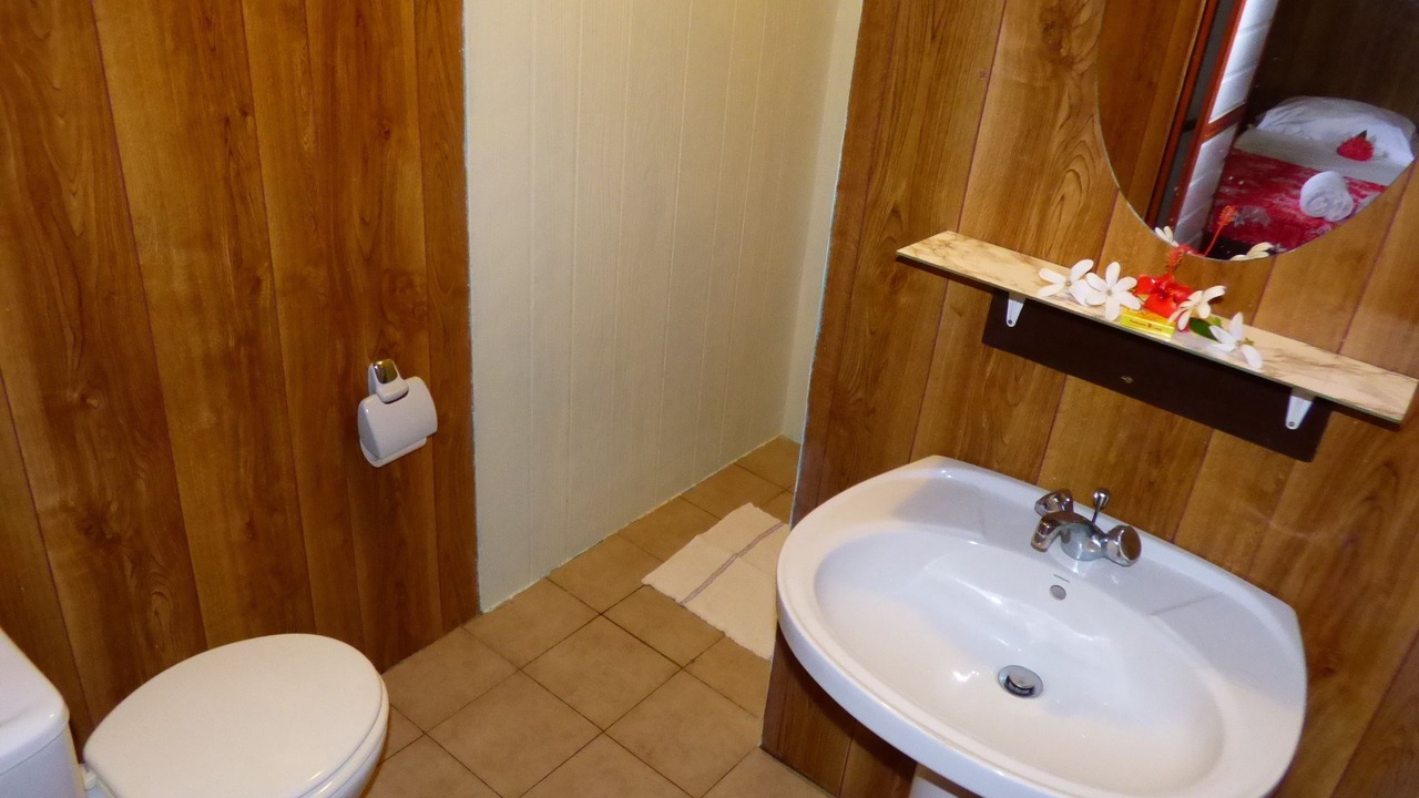 Photo of Bathroom in Teahupoo