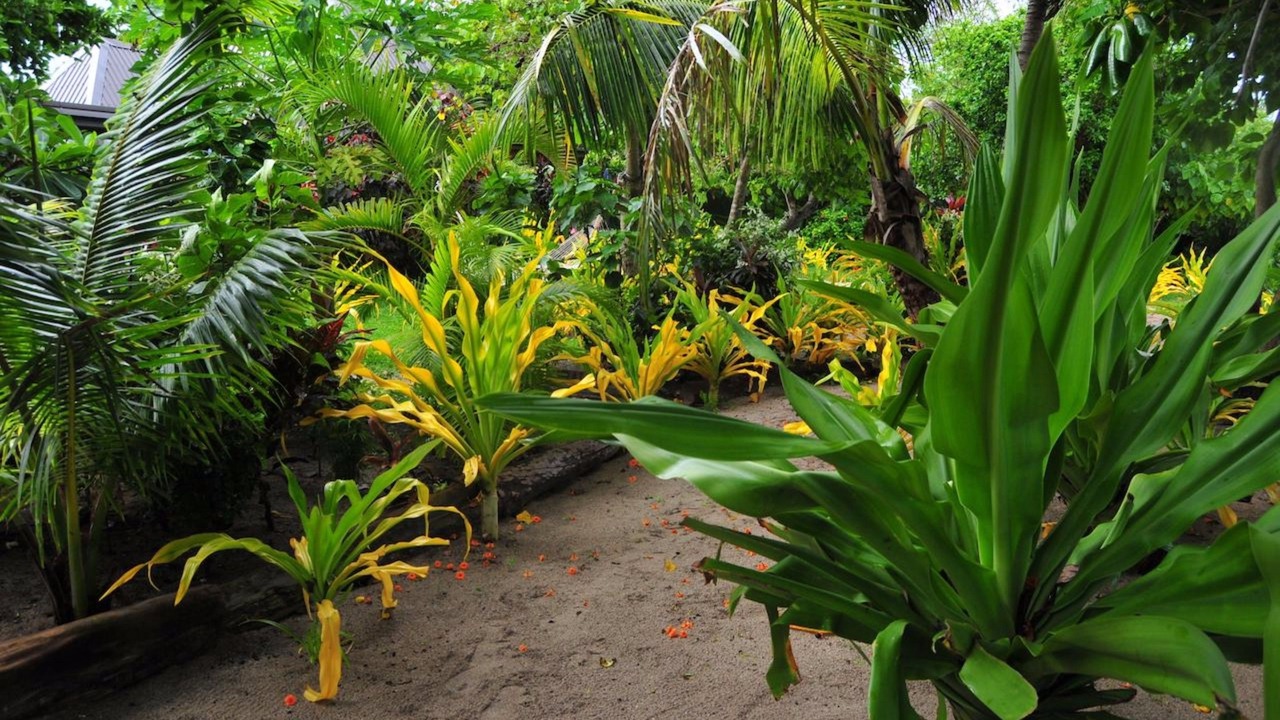 Photo of Others in Nanuya