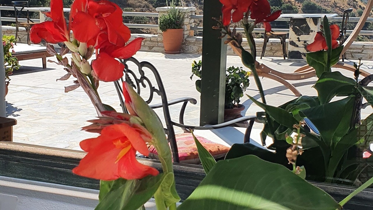 Photo of Outdoor in Naxos
