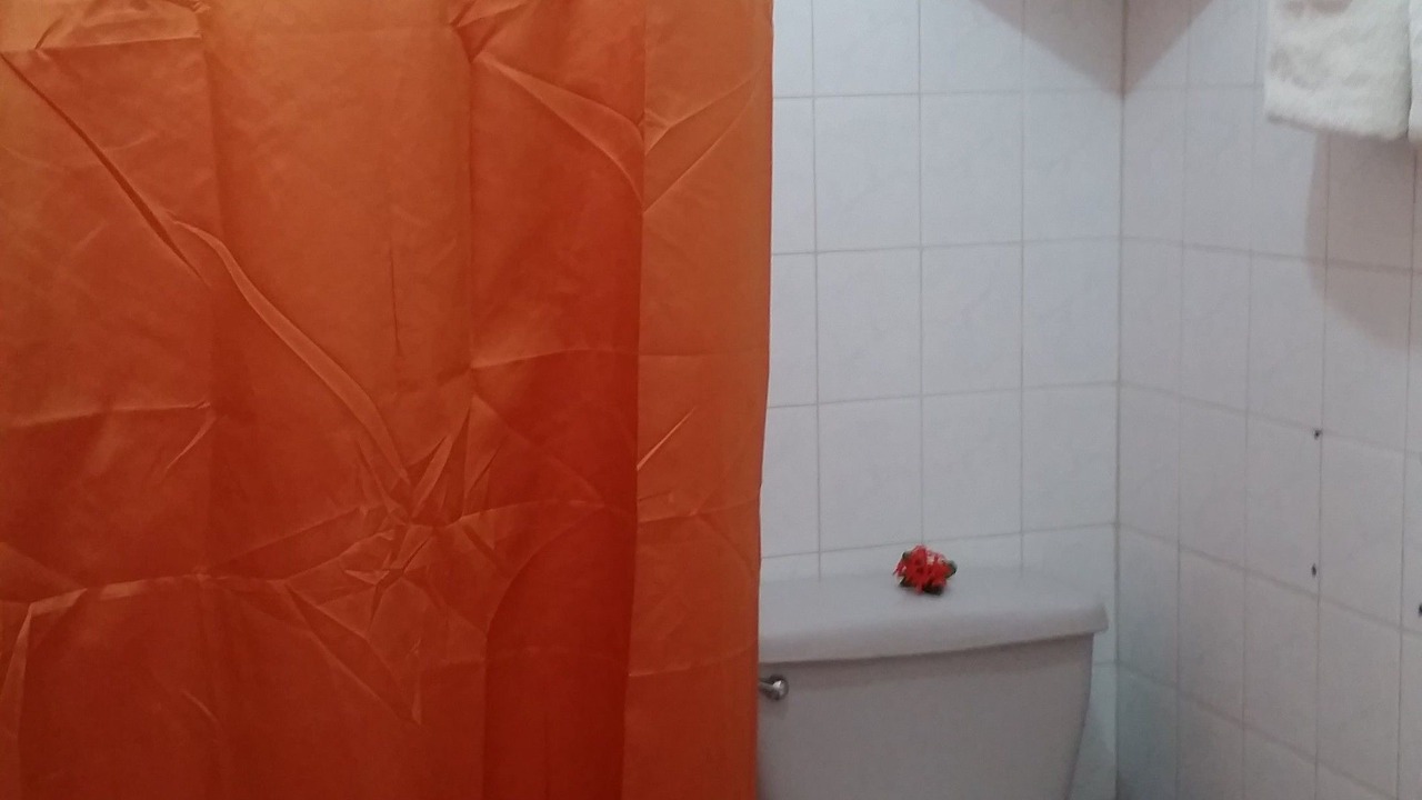 Photo of Bathroom in Luperon
