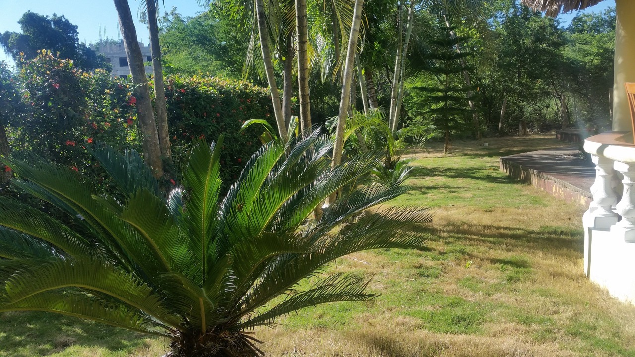 Photo of Outdoor in Luperon